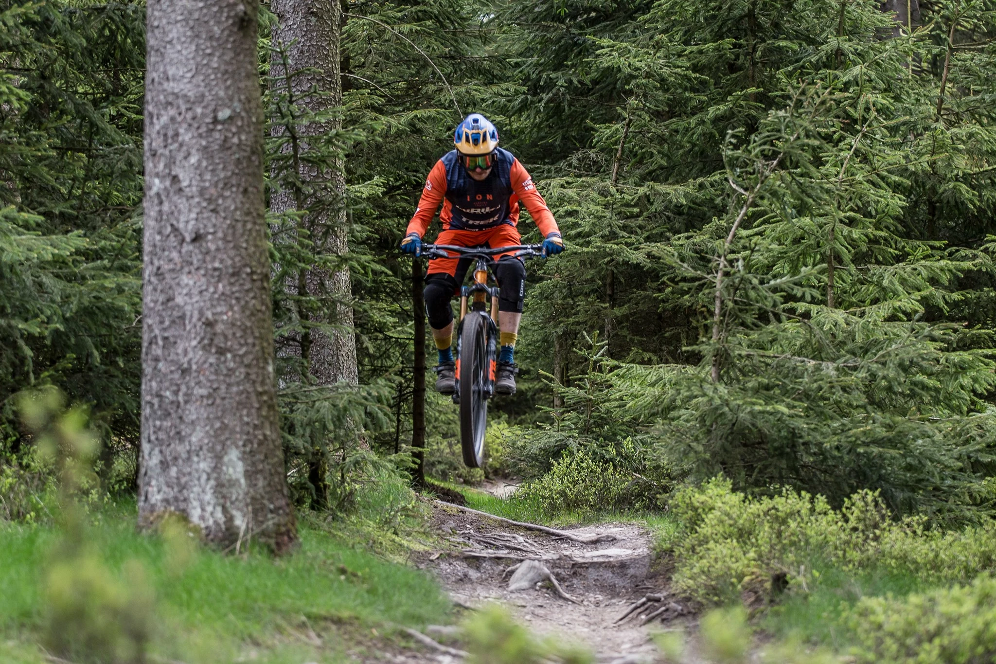 Forside -Dame Cykler Salg 231255566 4514573438573654 3574798139793252379 n